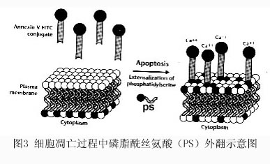 首页-人生就是博中国官方网站