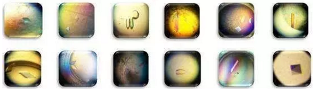 首页-人生就是博中国官方网站