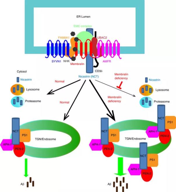 首页-人生就是博中国官方网站