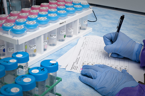 大浪淘沙快者胜！！已完成BE大品种谁主战场