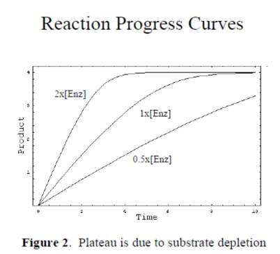 接纳终点法可能获得不真实的初始速率