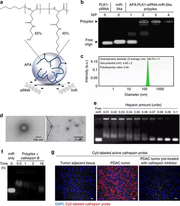 首页-人生就是博中国官方网站