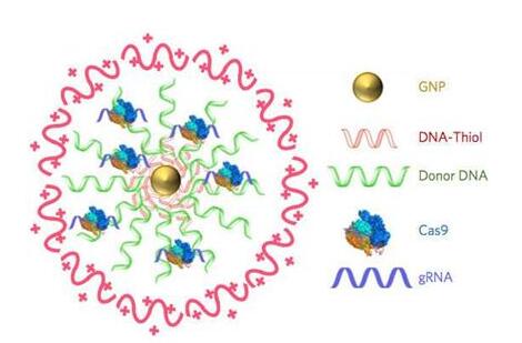 首页-人生就是博中国官方网站