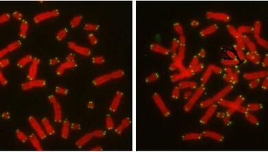 首页-人生就是博中国官方网站