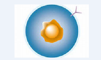首页-人生就是博中国官方网站
