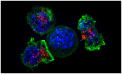 首页-人生就是博中国官方网站