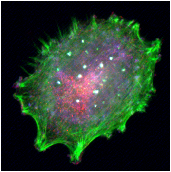 首页-人生就是博中国官方网站