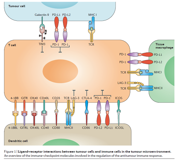 首页-人生就是博中国官方网站