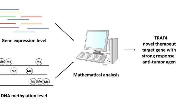 首页-人生就是博中国官方网站