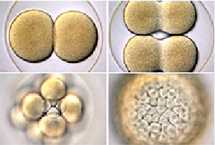 首页-人生就是博中国官方网站