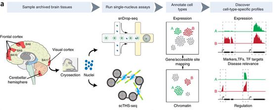 首页-人生就是博中国官方网站