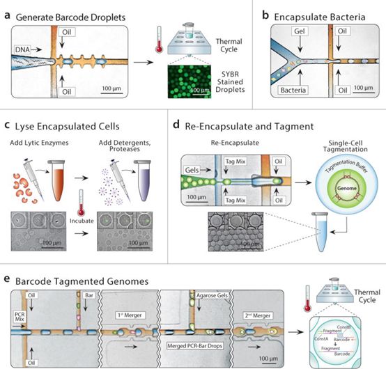 首页-人生就是博中国官方网站