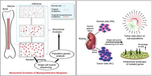 首页-人生就是博中国官方网站