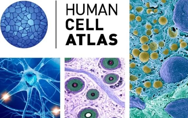 首页-人生就是博中国官方网站