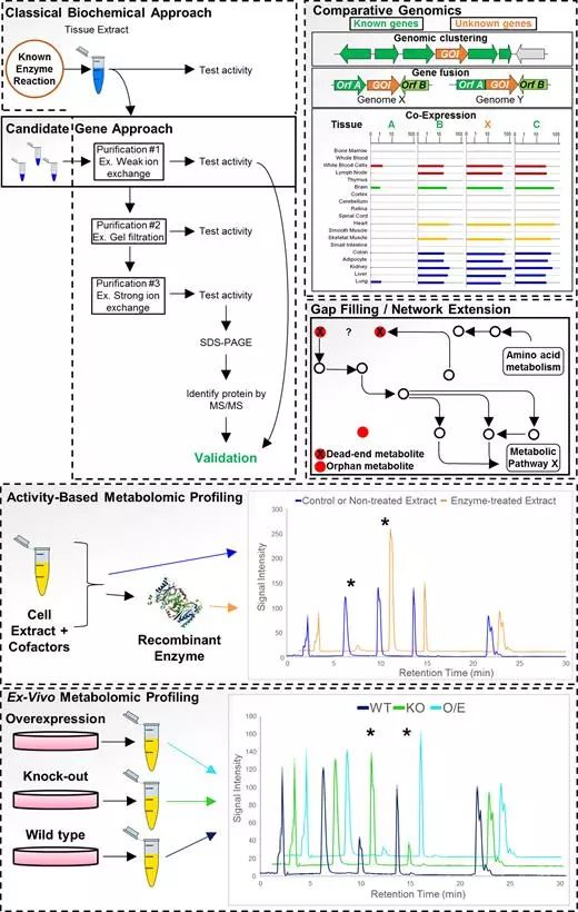 首页-人生就是博中国官方网站