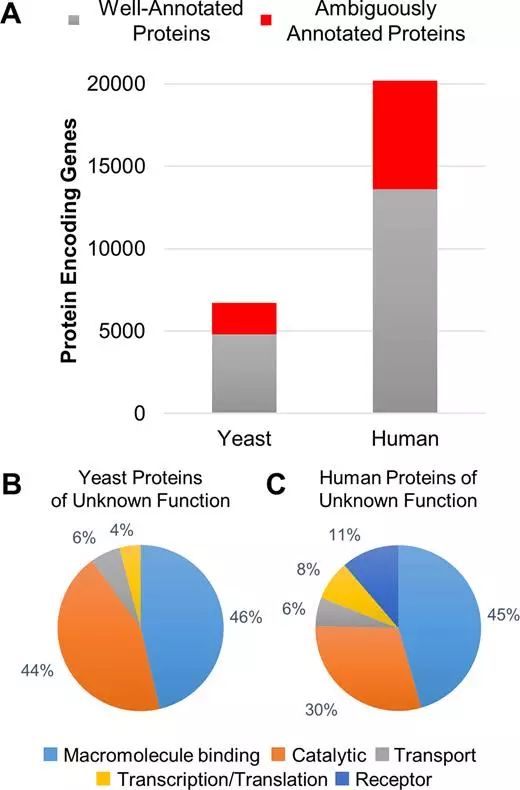 首页-人生就是博中国官方网站