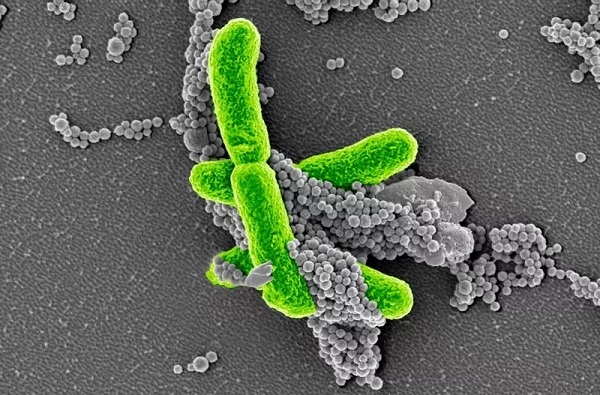 首页-人生就是博中国官方网站