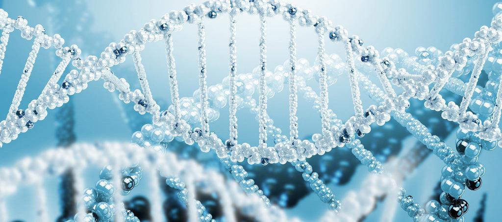 浅谈人生就是博官方网站抗体药物PK剖析要领学设计的思量要点