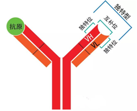 首页-人生就是博中国官方网站