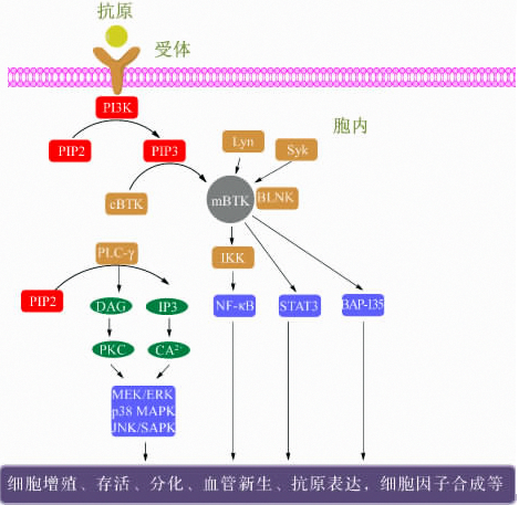首页-人生就是博中国官方网站