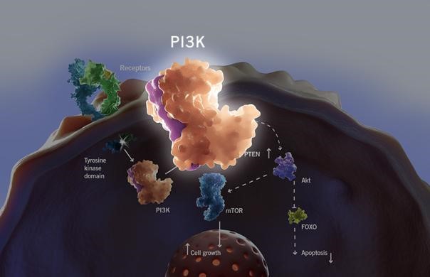 首页-人生就是博中国官方网站