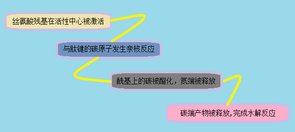 首页-人生就是博中国官方网站