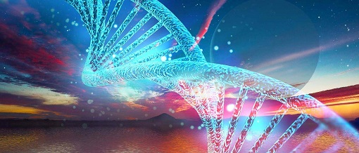 首页-人生就是博中国官方网站