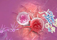 【盘货】高选择性mTOR抑制剂的研究历程