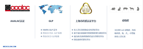 人生就是博官方网站生物医药 临床前研究