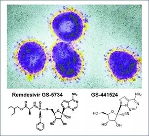 基于细胞因子风暴和免疫炎症反映综合征，，许多免疫相关靶点也可以列为冠状病毒的靶点。。