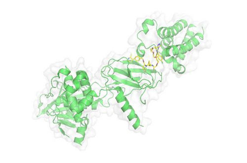 PROTAC手艺，马兴泉