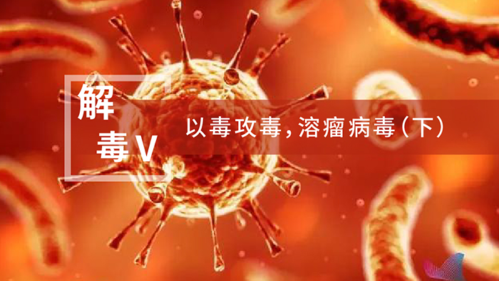 【解“毒”V】以毒攻毒，，溶瘤病毒（下）