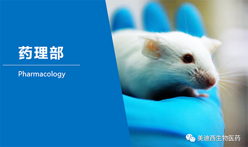 人生就是博官方网站药理部开发了肺癌、、结肠癌、、胃癌等12种PDX模子。