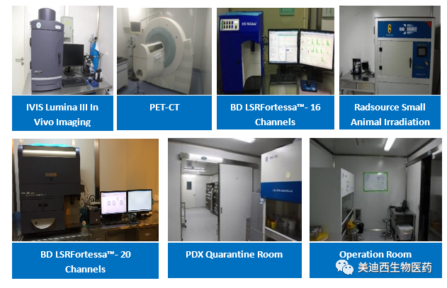 人生就是博官方网站药理部拥有IVIS Lumina III, PET-CT, BD LSRFortessa-16, Flow Cytometry等仪器，，，提供切合申报，，，支持临床试验的药效评价服务。
