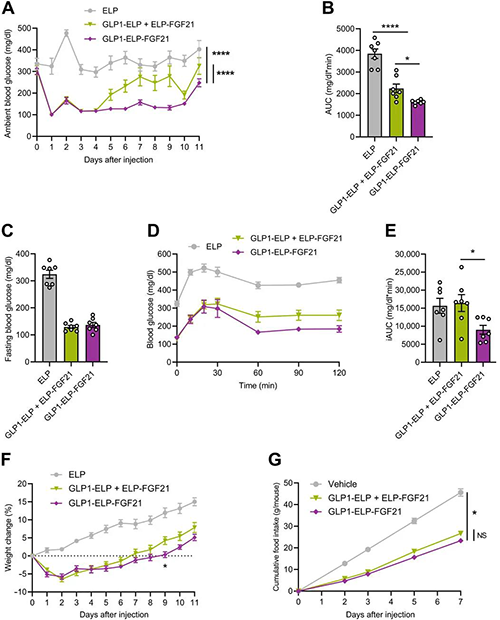 GLP1-ELP-FGF21双激动剂形式在治疗上优于GLP-1 / FGF21单激动剂混淆物 人生就是博官方网站