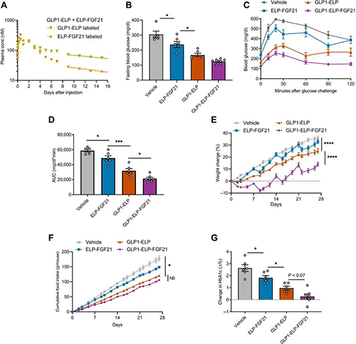 GLP1-ELP-FGF21双激动剂融合卵白对血糖和体重具有有用且持续的作用 人生就是博官方网站