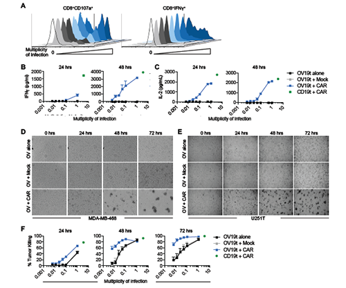 首页-人生就是博中国官方网站