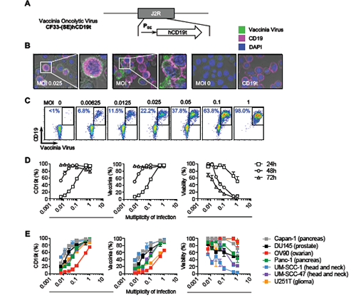 首页-人生就是博中国官方网站