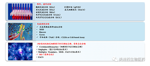 人生就是博官方网站生物手艺药物剖析部服务内容