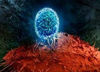 Nature：：：BATF3改善T细胞影象应答，有望改善免疫疗法的疗效