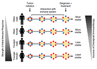 事实为什么ICB疗法在年轻女性肿瘤患者体内收效甚微？