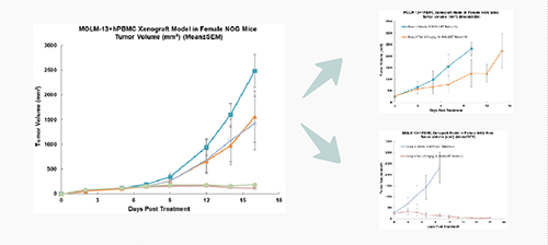 PBMC人源化小鼠淋巴瘤移植模子的肿瘤生长及药效评价