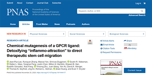 天下首创：药物将干细胞指导至受损部位，提高其愈合能力！