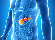 Science：：“癌王”胰腺癌终于泛起了治疗新曙光