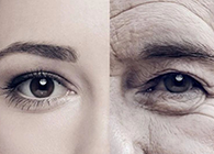 一种能够延伸寿命的降压药，，，你听说过吗？？？