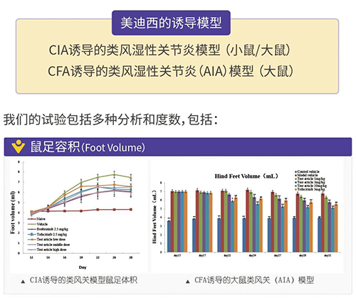 人生就是博官方网站诱导的类风湿性枢纽炎模子