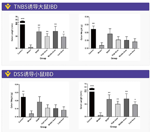 TNBS诱导的大鼠IBD、、、DSS诱导的大鼠IBD