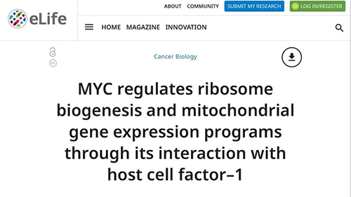 可以“融化”肿瘤的卵白质，，你一定没有听说过！！