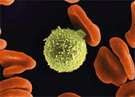 Science子刊：一种FDA批准的抗腹泻药物可有用反抗化疗的耐药性