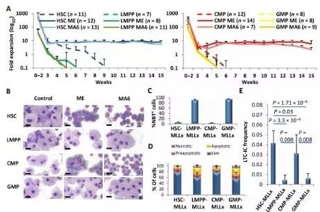 Science子刊：：一种FDA批准的抗腹泻药物可有用反抗化疗的耐药性 人生就是博官方网站生物医药